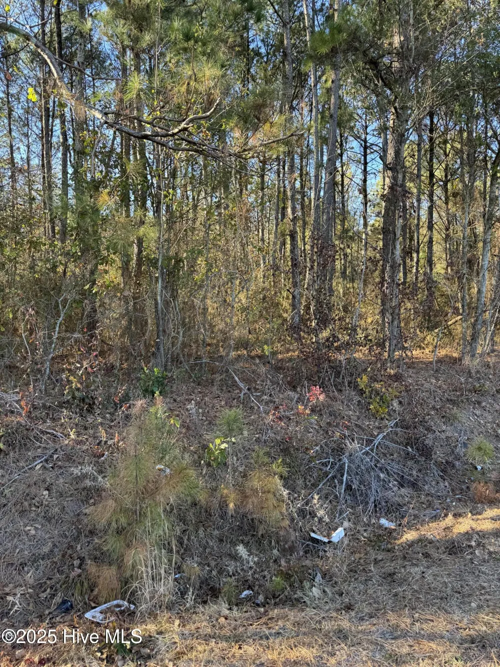 00 New Hope Church Road Turkey, NC 28393