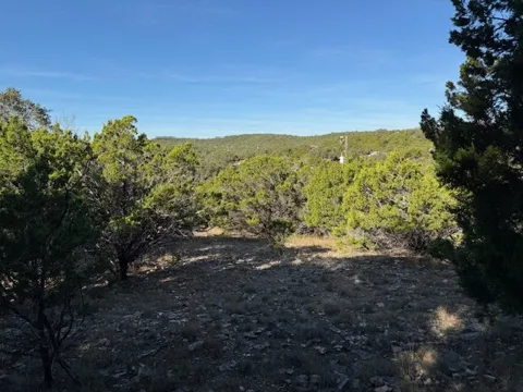 1406 Canyon Trace