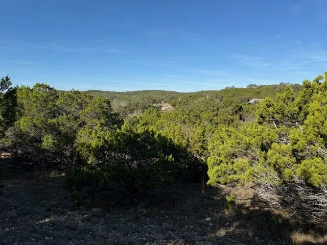 1406 Canyon Trace Canyon Lake, TX 78133