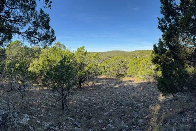 1406 Canyon Trace Canyon Lake, TX 78133