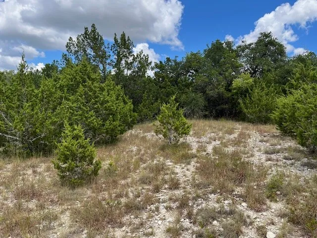 1406 Canyon Trace Canyon Lake, TX 78133