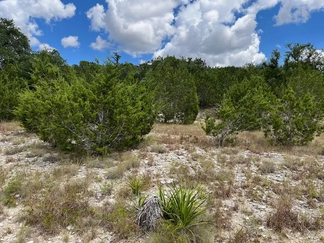 1406 Canyon Trace Canyon Lake, TX 78133