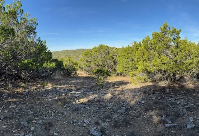 1396 Canyon Trace Canyon Lake, TX 78133