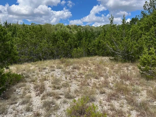 1396 Canyon Trace Canyon Lake, TX 78133