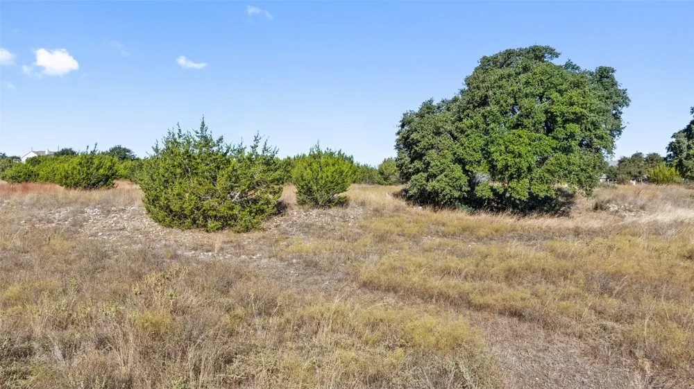 386 Appaloosa Run Johnson City, TX 78663