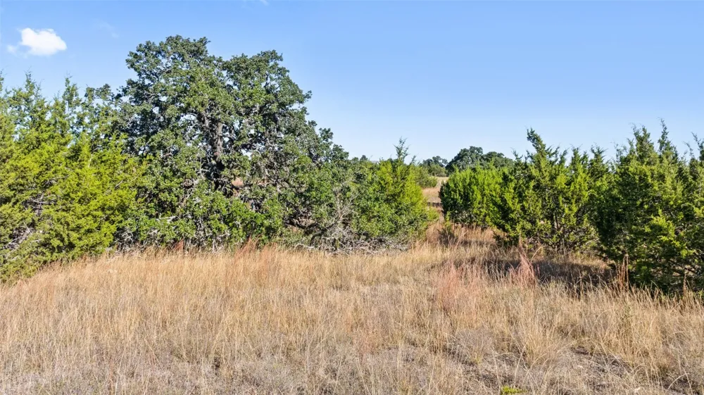 386 Appaloosa Run Johnson City, TX 78663
