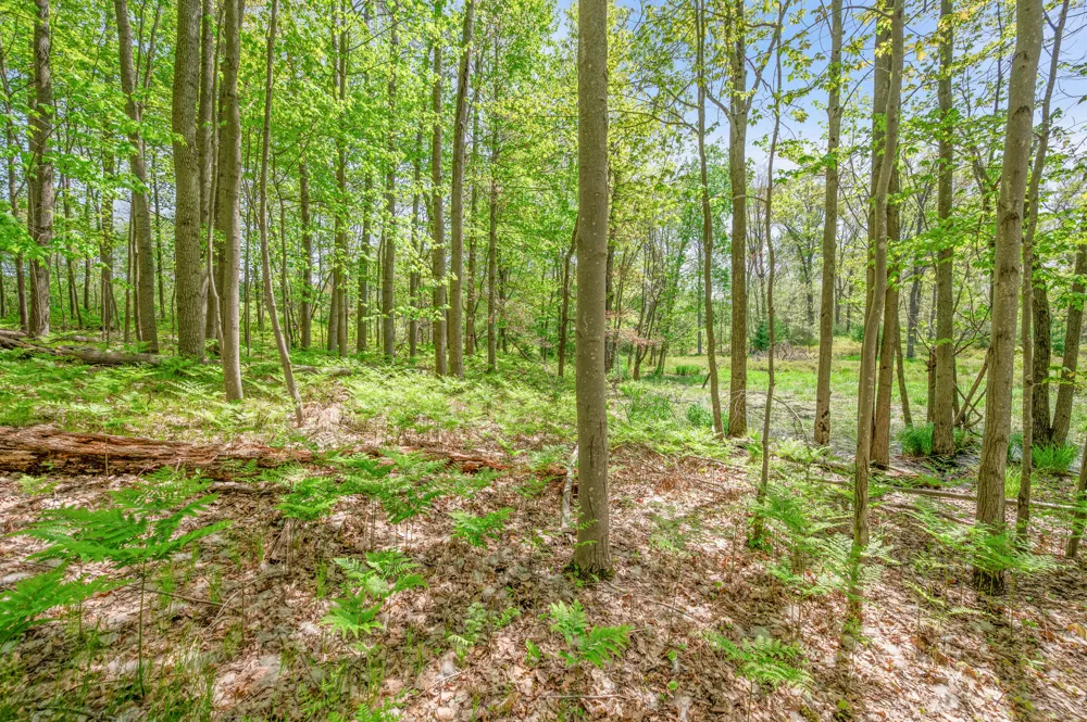 8209 West Royal Rd Canadian Lakes, MI 49346