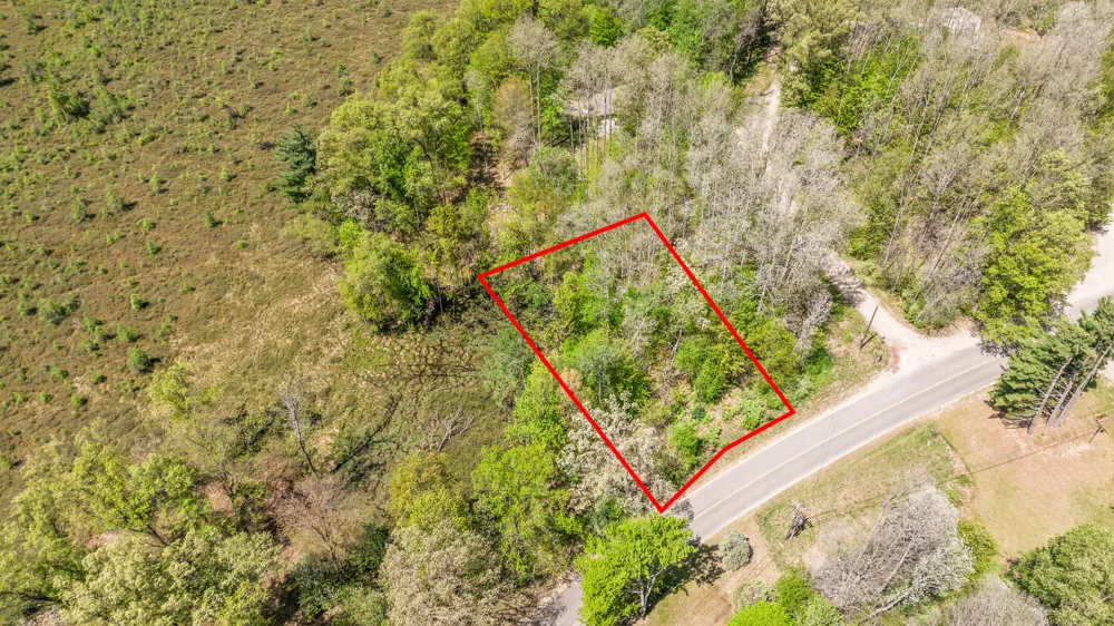 8209 West Royal Rd Canadian Lakes, MI 49346