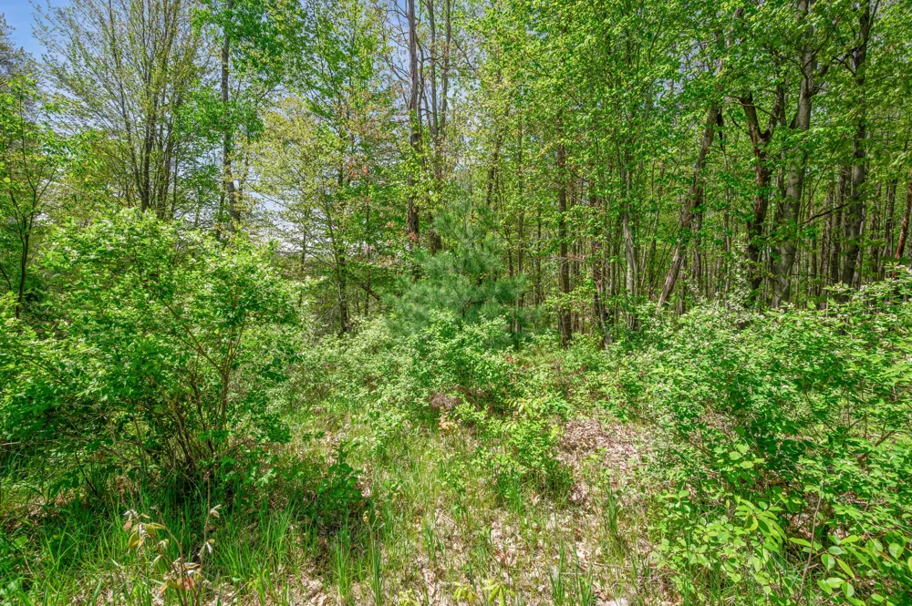 8209 West Royal Rd Canadian Lakes, MI 49346