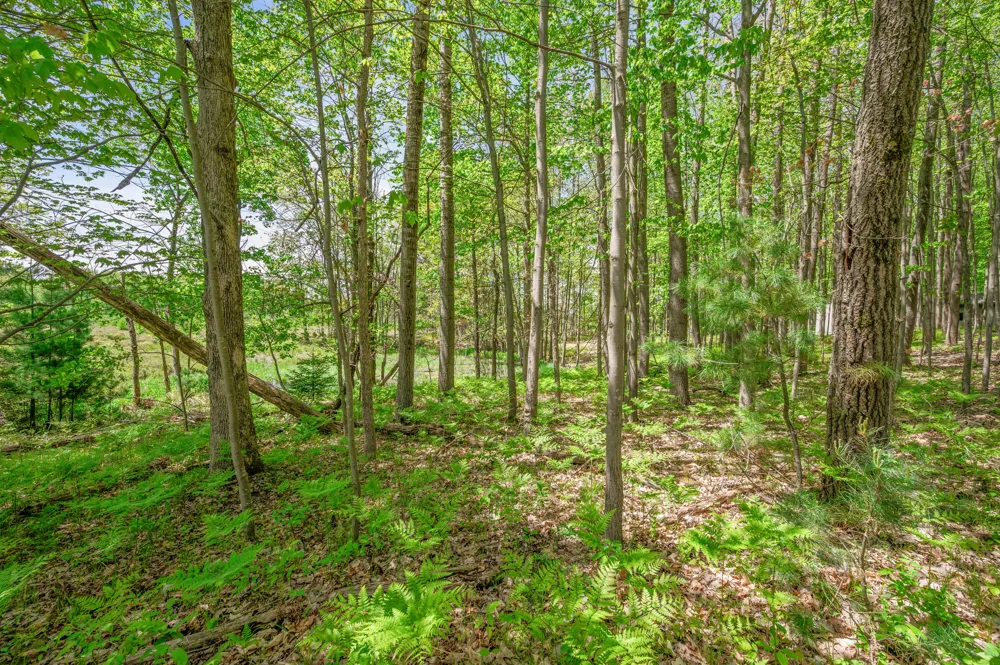 8209 West Royal Rd Canadian Lakes, MI 49346