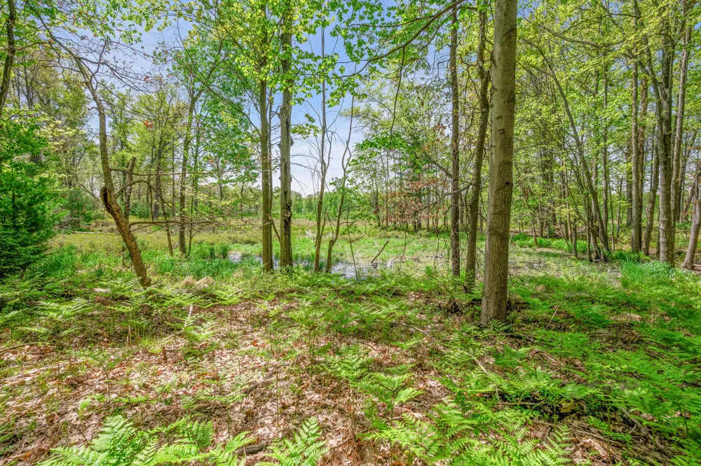 8209 West Royal Rd Canadian Lakes, MI 49346