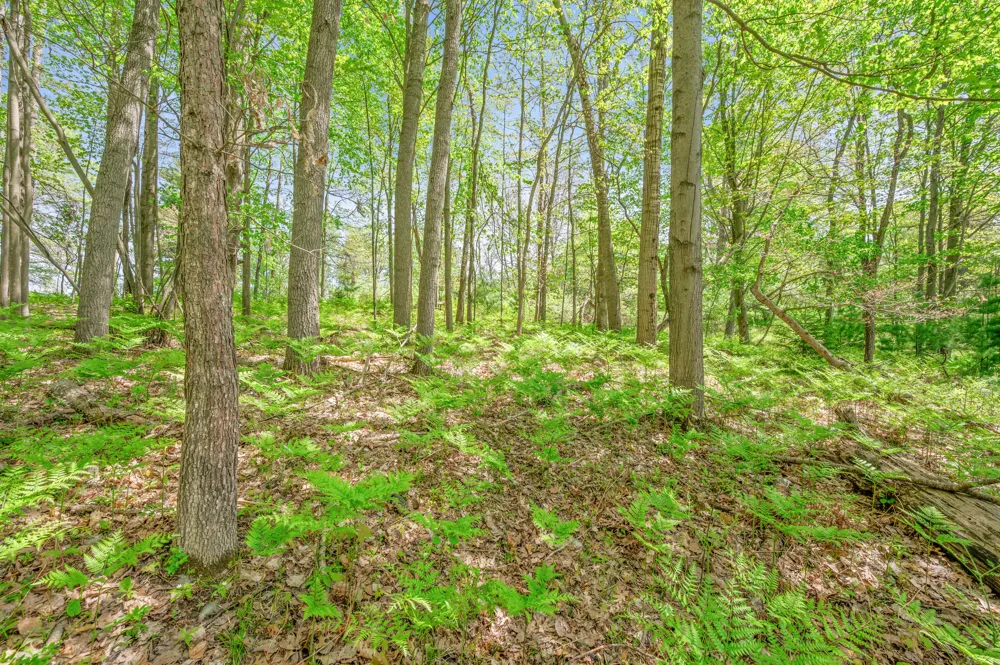 8209 West Royal Rd Canadian Lakes, MI 49346