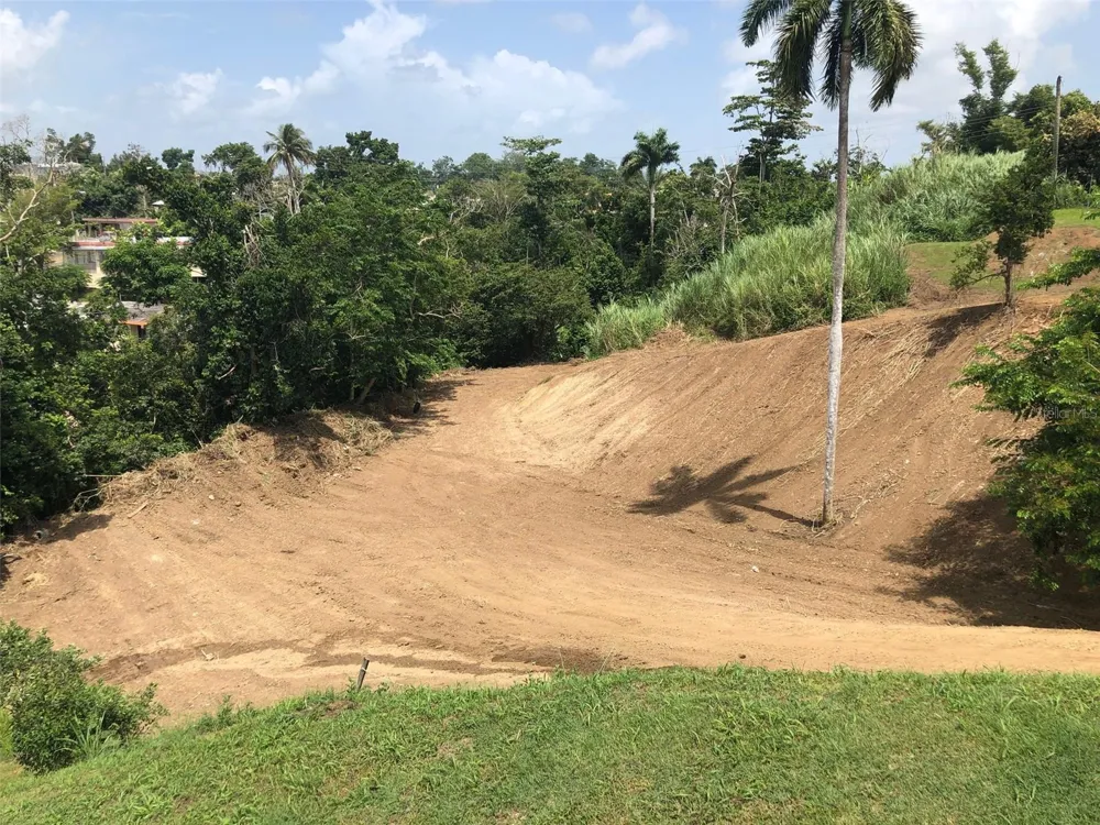 BO BUENA VISTA , CARR 167 KM.HM 13.9 Bayamón, PR 00956