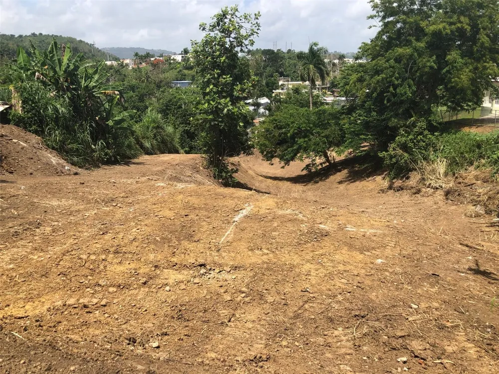 BO BUENA VISTA , CARR 167 KM.HM 13.9 Bayamón, PR 00956