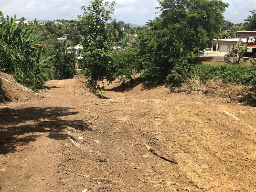 BO BUENA VISTA , CARR 167 KM.HM 13.9 Bayamón, PR 00956
