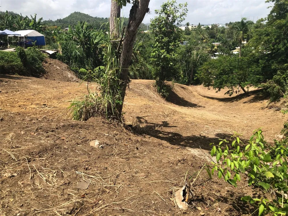 BO BUENA VISTA , CARR 167 KM.HM 13.9 Bayamón, PR 00956