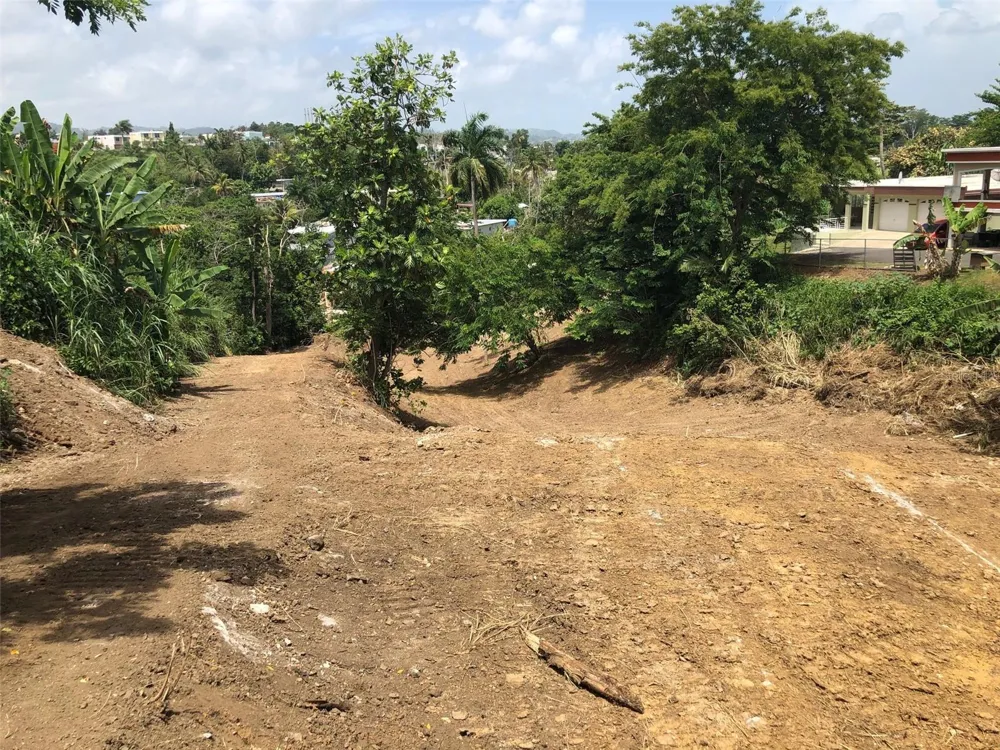 BO BUENA VISTA , CARR 167 KM.HM 13.9 Bayamón, PR 00956