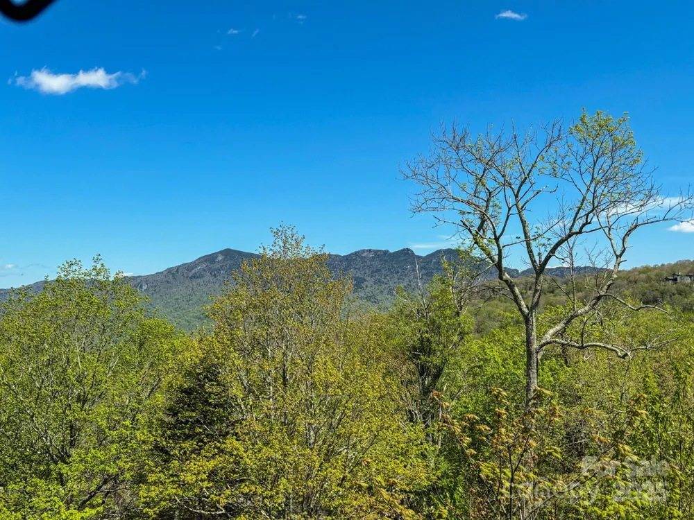 120 Pleasant View Boulevard Sugar Mountain, NC 28604