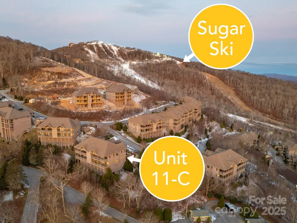 120 Pleasant View Boulevard Sugar Mountain, NC 28604
