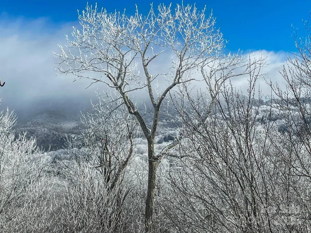 120 Pleasant View Boulevard Sugar Mountain, NC 28604