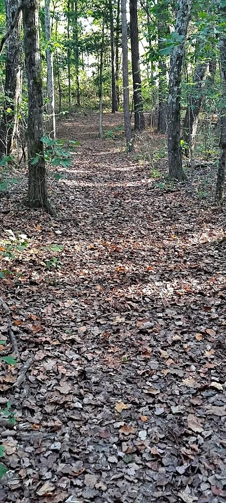 0 NW Piney Road Dickson, TN 37055