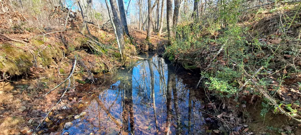 0 NW Piney Road Dickson, TN 37055