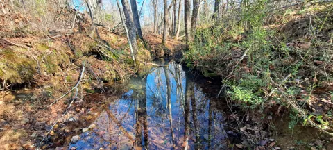 0 NW Piney Road