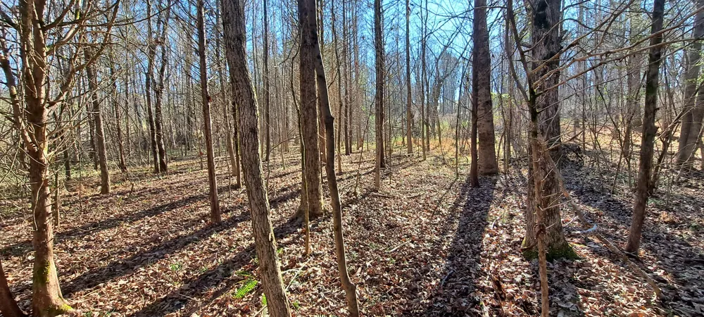 0 NW Piney Road Dickson, TN 37055