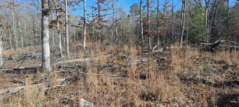 0 NW Piney Road Dickson, TN 37055