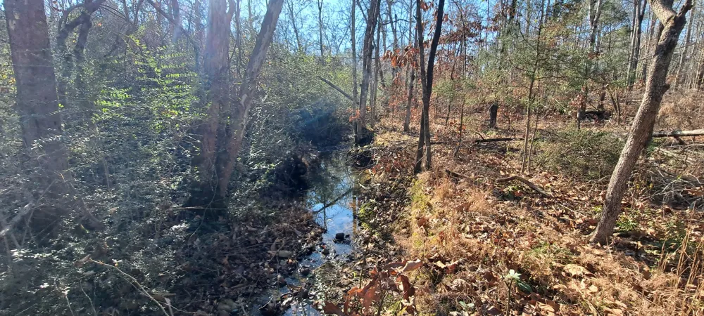 0 NW Piney Road Dickson, TN 37055