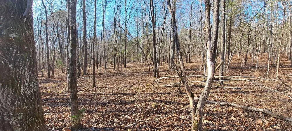0 NW Piney Road Dickson, TN 37055