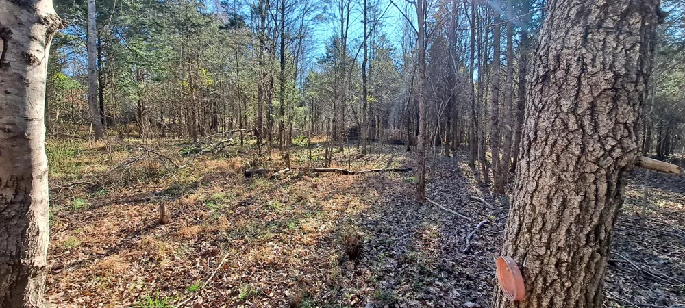 0 NW Piney Road Dickson, TN 37055