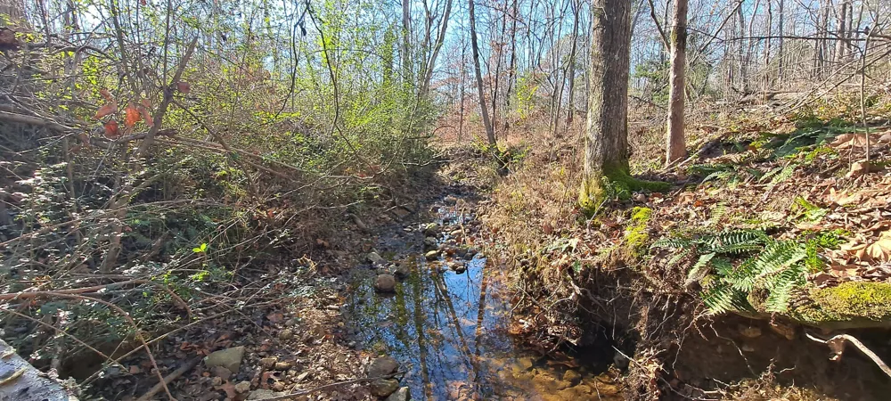 0 NW Piney Road Dickson, TN 37055