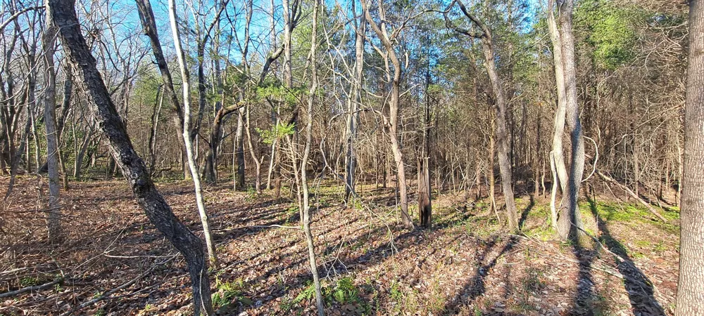 0 NW Piney Road Dickson, TN 37055
