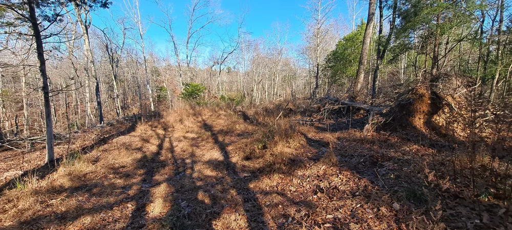0 NW Piney Road Dickson, TN 37055