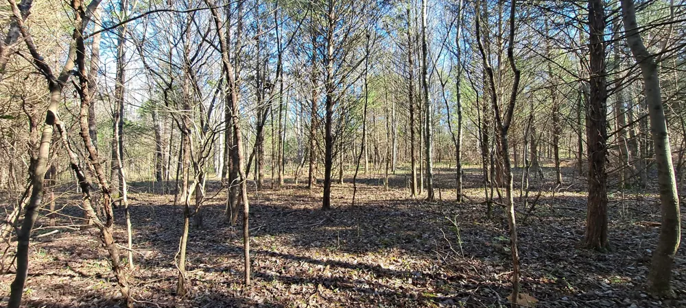 0 NW Piney Road Dickson, TN 37055