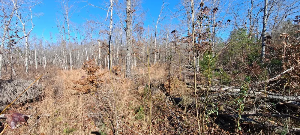 0 NW Piney Road Dickson, TN 37055