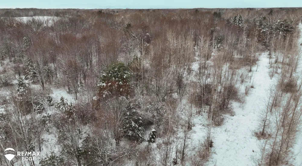 Linden Road Vienna Charter Township, MI 48420