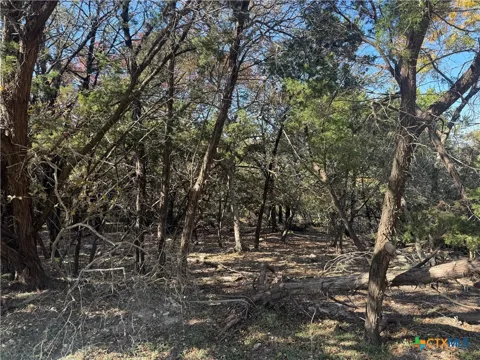 5982 Buggy Ride Road