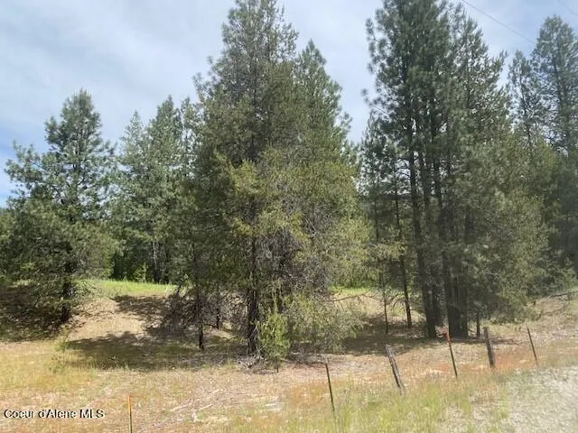 NNA (7800) 20 ac. Blue Lake Rd Priest River, ID 83856