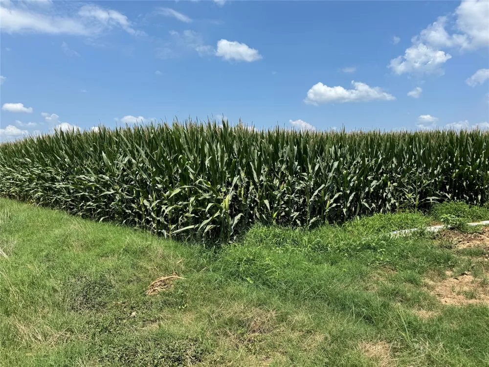 520 Flynn Bridge Cut Road Humnoke, AR 72072