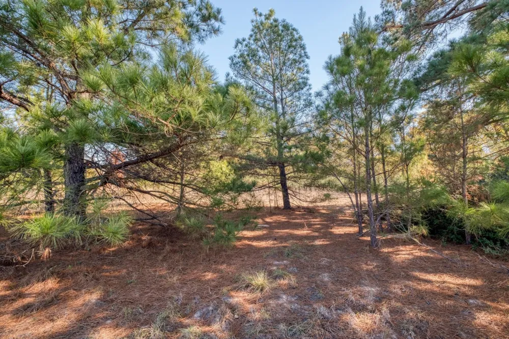 Dunbar Rd (Tract 3) Road McDade, TX 78650