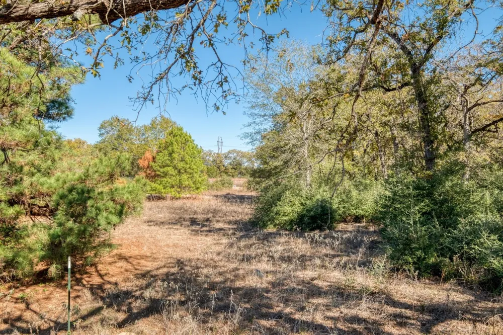 Dunbar Rd (Tract 3) Road McDade, TX 78650