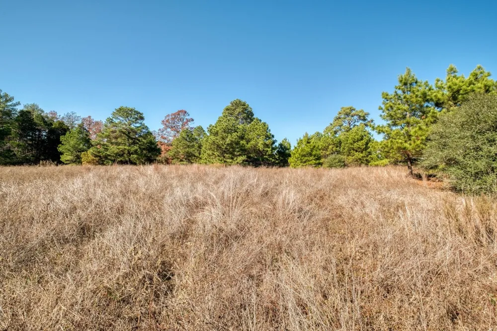 Dunbar Rd (Tract 3) Road McDade, TX 78650