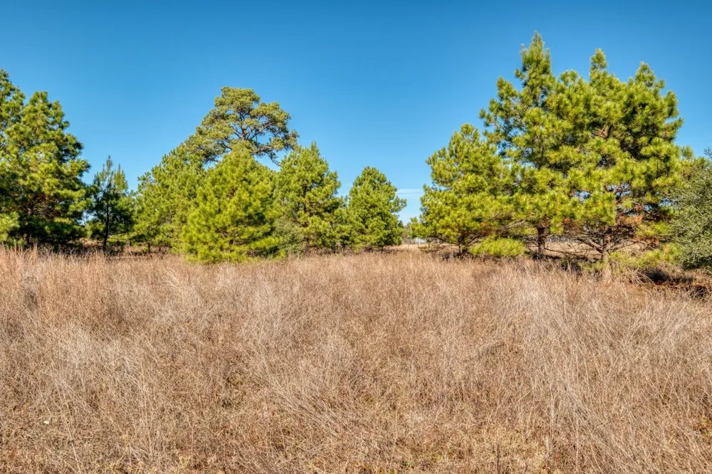 Dunbar Rd (Tract 3) Road McDade, TX 78650