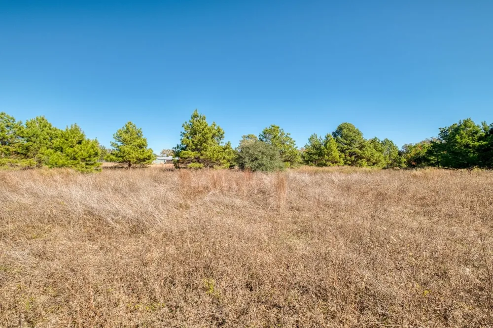 Dunbar Rd (Tract 3) Road McDade, TX 78650