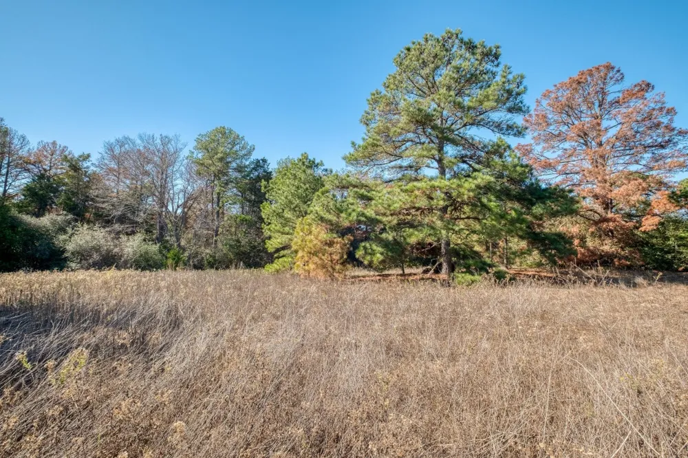 Dunbar Rd (Tract 3) Road McDade, TX 78650
