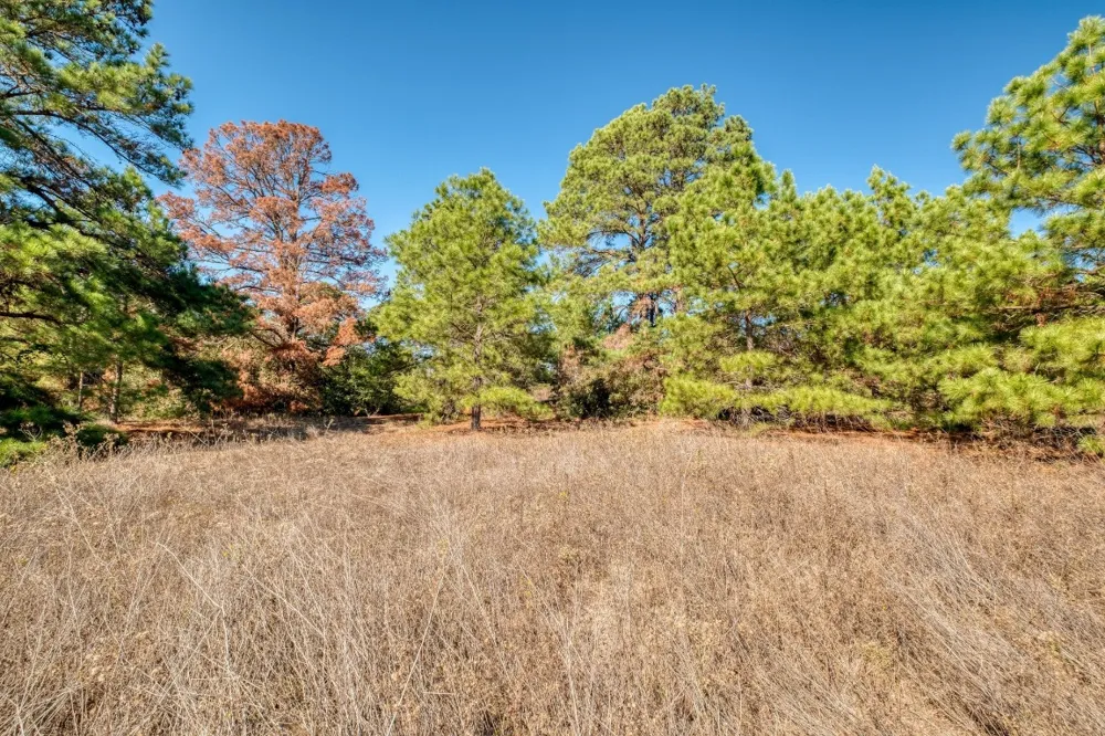 Dunbar Rd (Tract 3) Road McDade, TX 78650