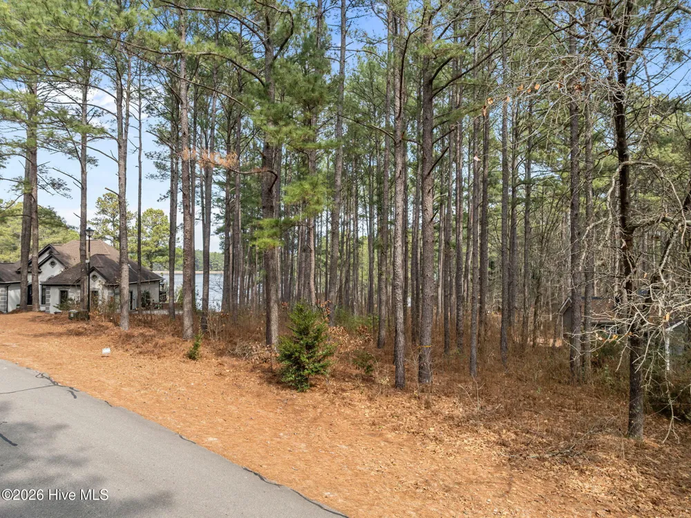 Lot 12 Lakeshore Drive Wagram, NC 28396