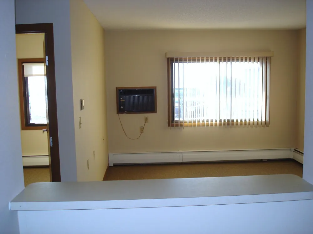 200 1st Avenue ##108 Sacred Heart, MN 56285